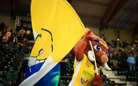 Maskotka z wielką żółtą flagą na meczu w Kielcach.